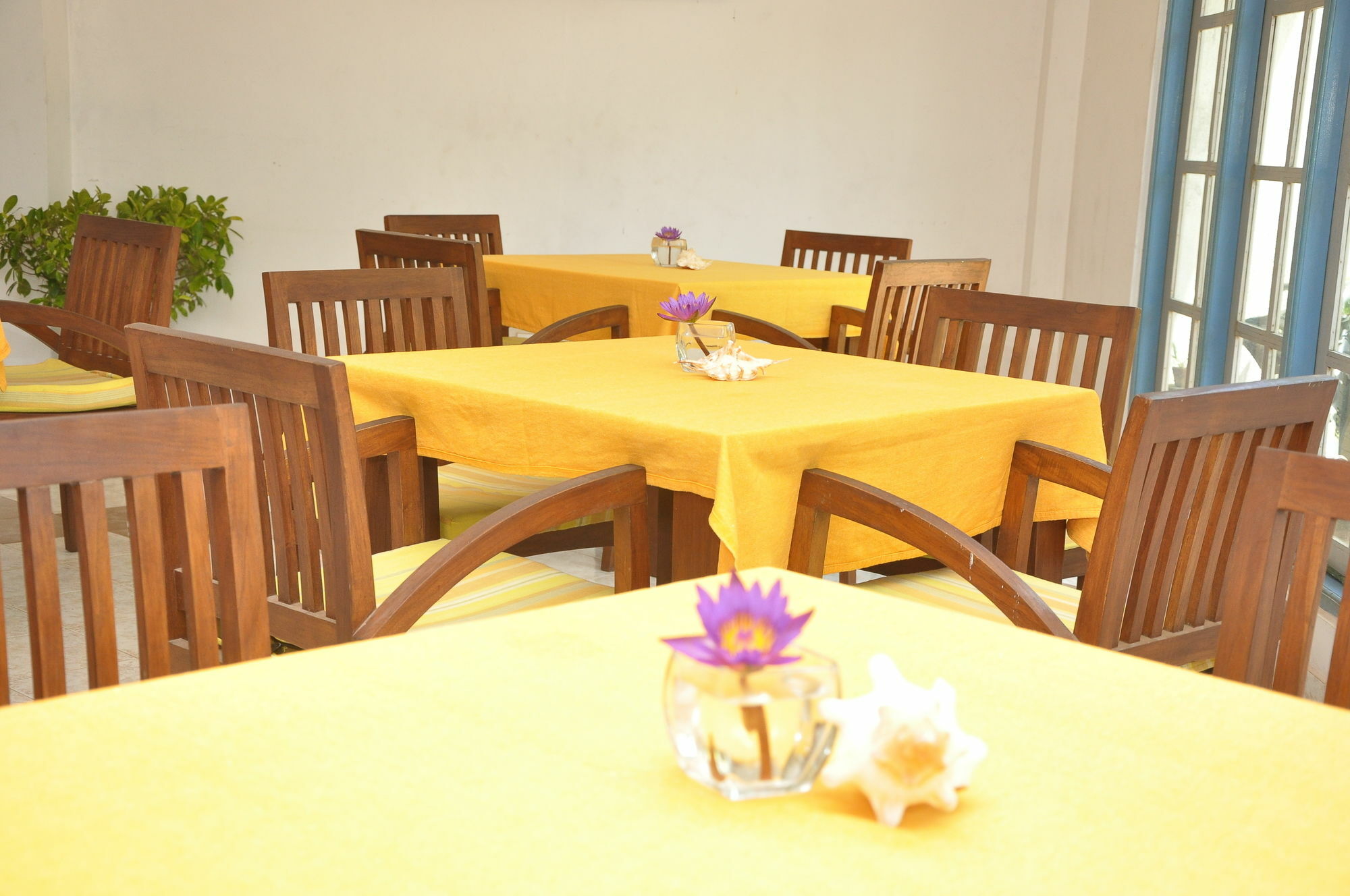 Hotel Mountbaylk Dehiwala-Mount Lavinia Exteriér fotografie